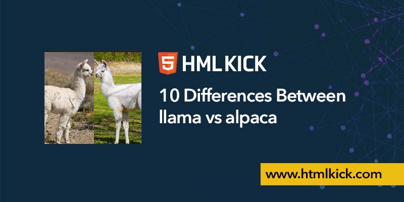 10 Differences Between llama vs alpaca | HTMLK KICK